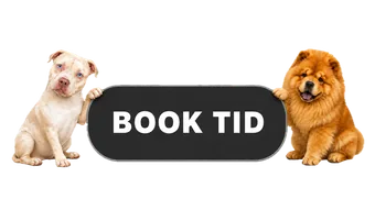 Book tid